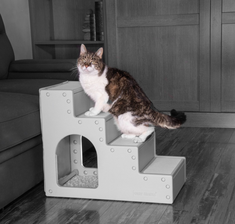 4 Step Pet Stair
