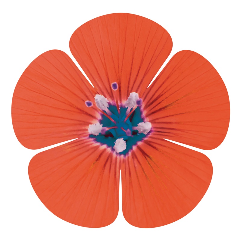 5 Petal Flower Wall Décor