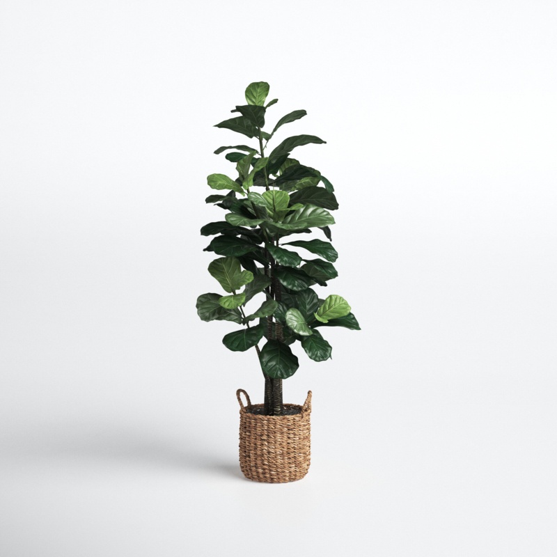 66'' Faux Fiddle Leaf Fig Tree in Rattan Basket