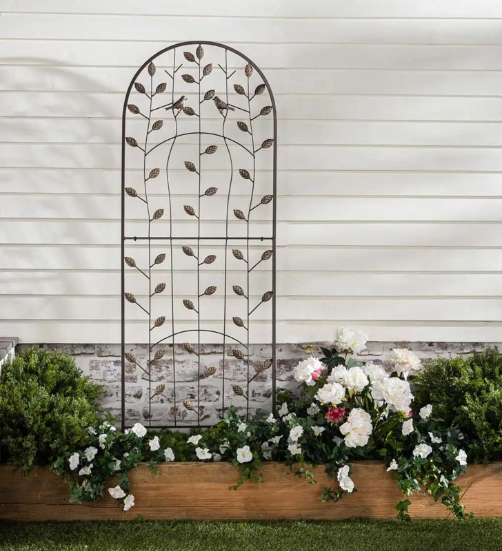 75'' H x 24'' W Iron Arched Trellis