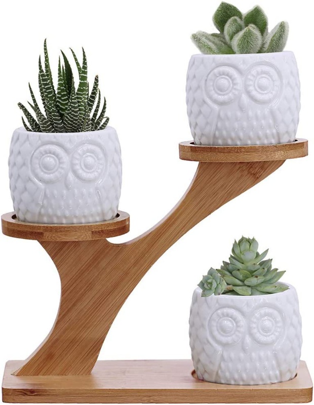 Ailin Wood Indoor Pot Planter