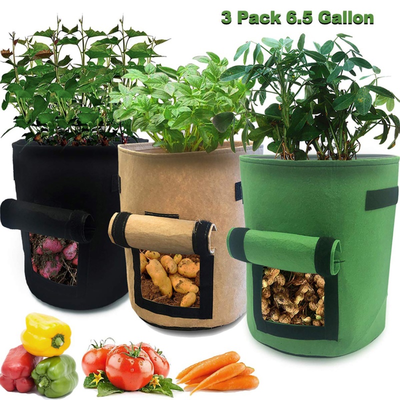 Akhenaton Grow Bags Growing Kit