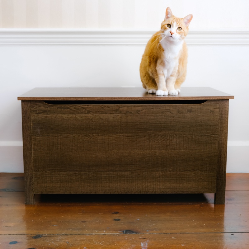 Allyannah Litter Box Enclosure