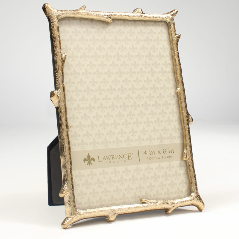Auxvasse Metal Picture Frame