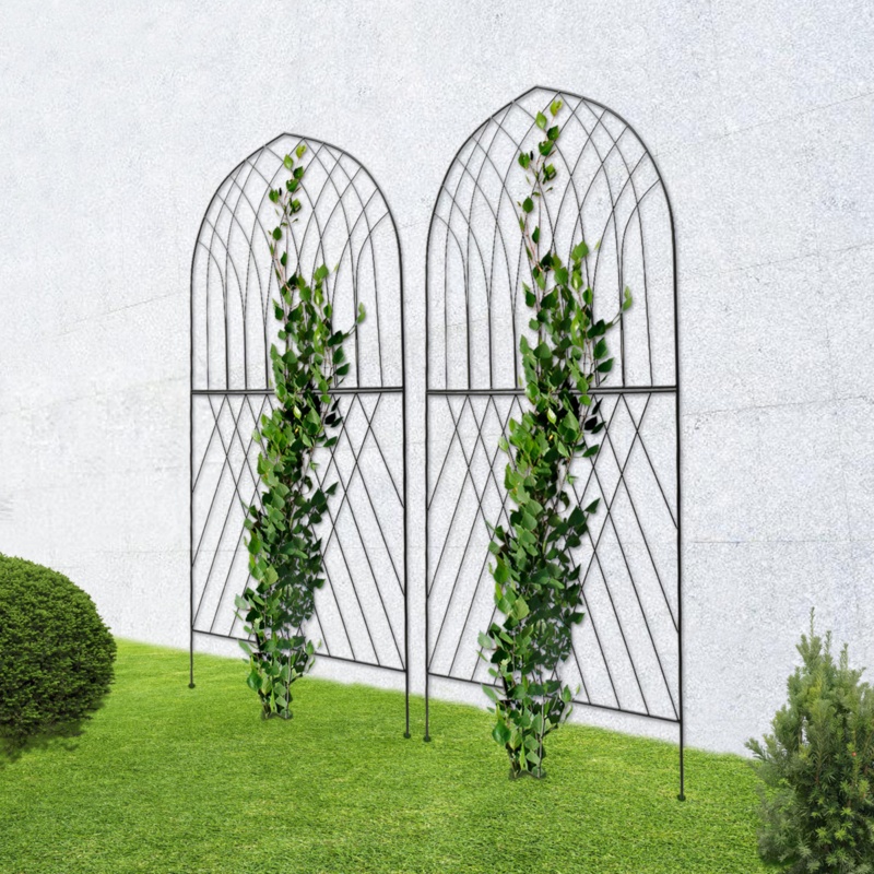Bernardin 75'' H x 31'' W Steel Arched Trellis