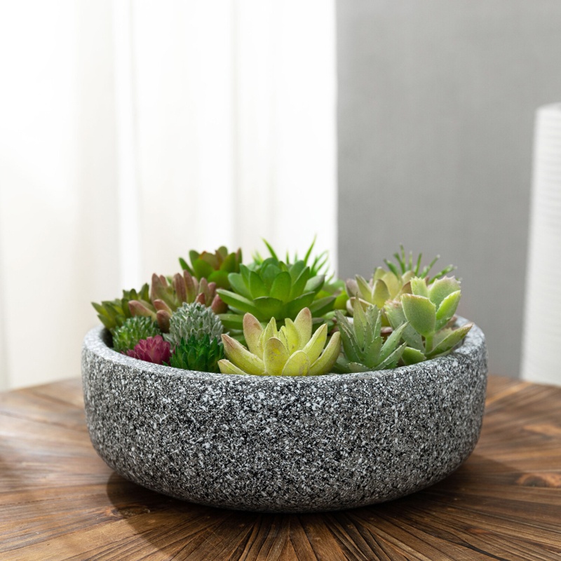 Cement Pot Planter