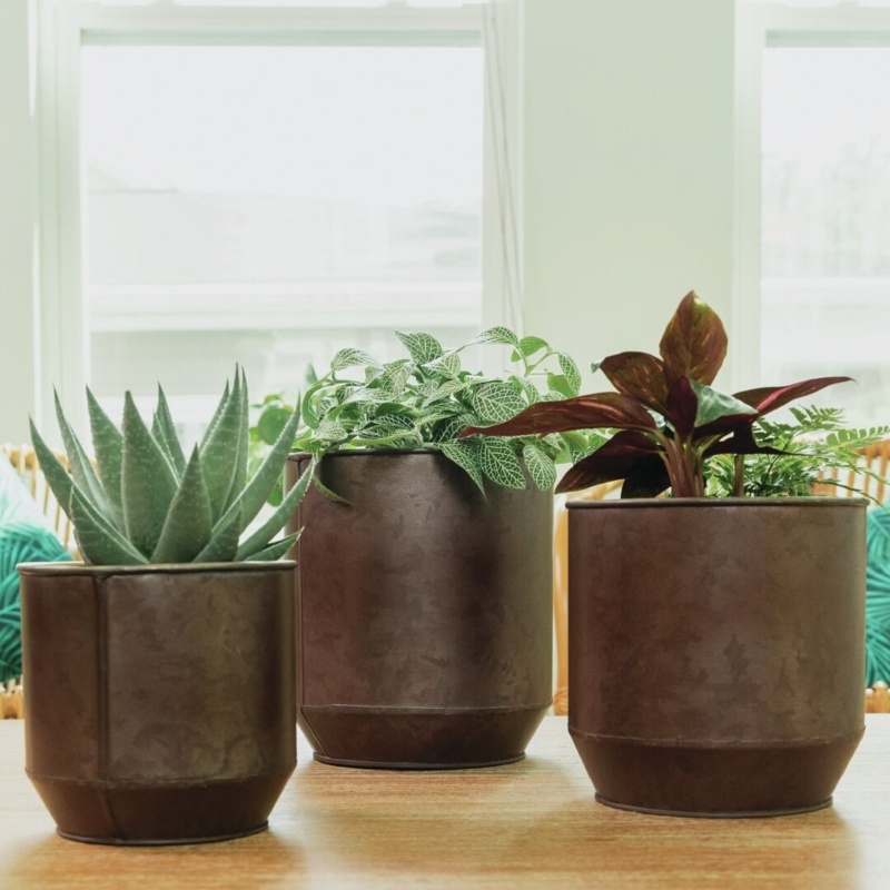 Daniel-Jay Metal Pot Planter