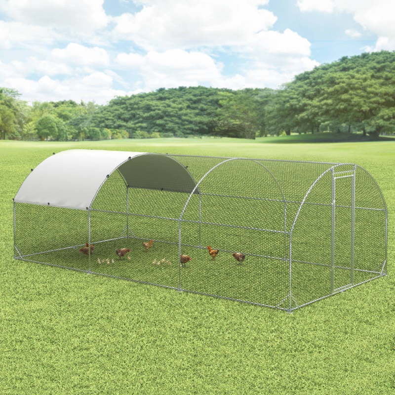 Dearia Chicken Run