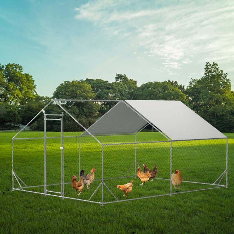 Djamel 130 Square Feet Walk In Chicken Coop