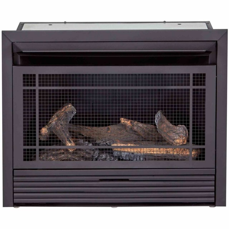 Dual Fuel 29.1'' W Fireplace