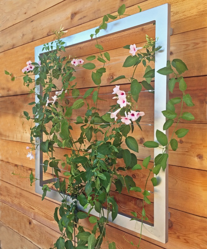 Durene Wall Steel Trellis