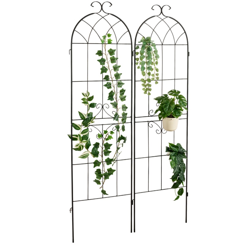 Ekene 70.9'' H x 19.5'' W Metal Lattice Panel Trellis