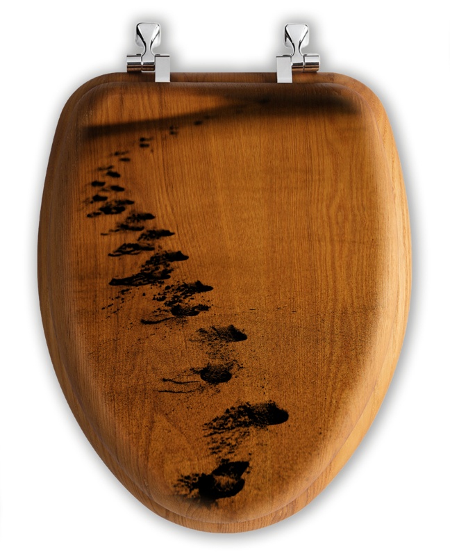 Elongated Toilet Seat and Lid