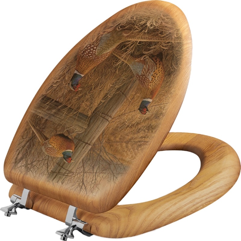 Elongated Toilet Seat and Lid