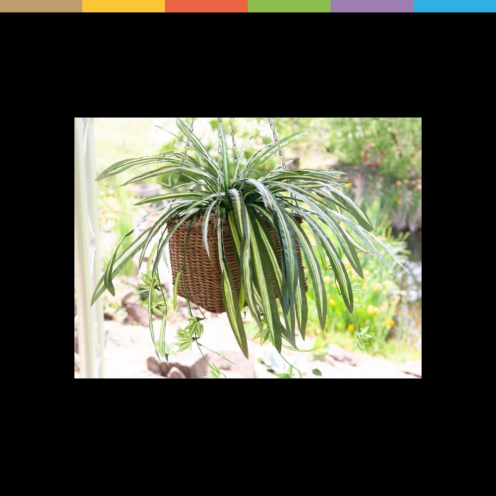 Europalms, Kunstpflanzen, Grnlilie (60cm)