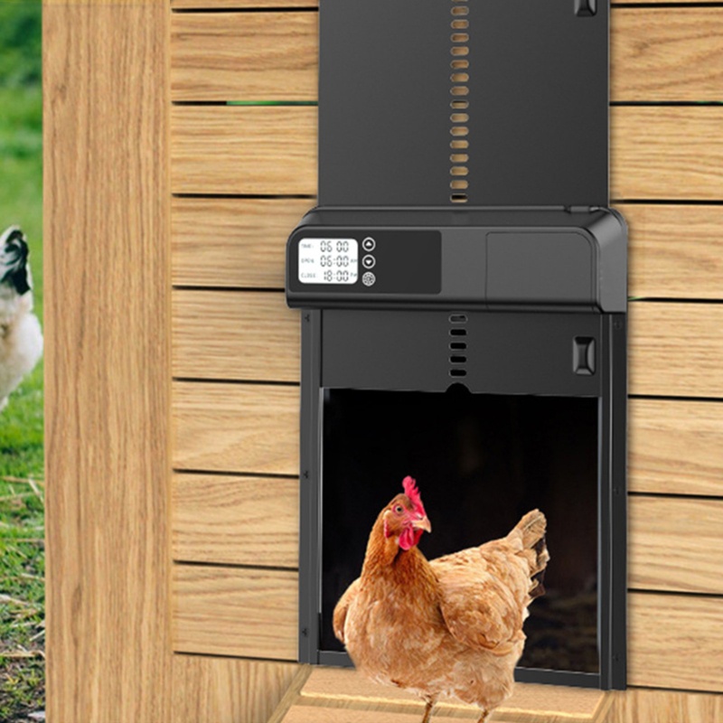 Flowsun Automatic Chicken Coop Door