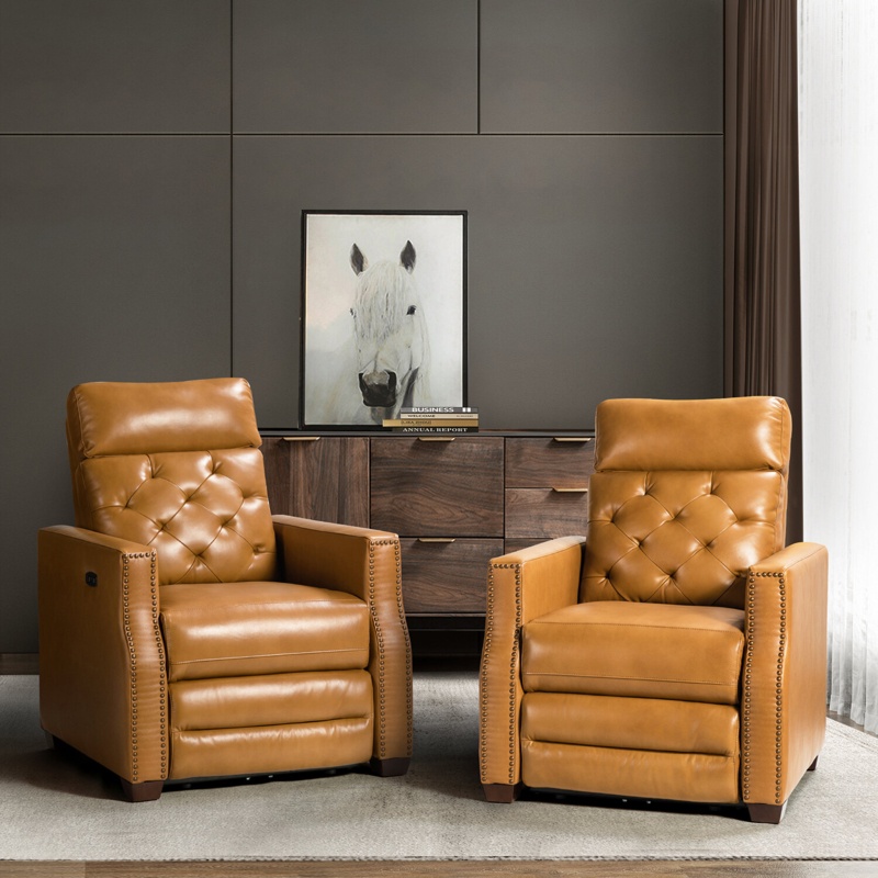 Gumesindo 31.50" Wide Genuine Leather Power Recliner