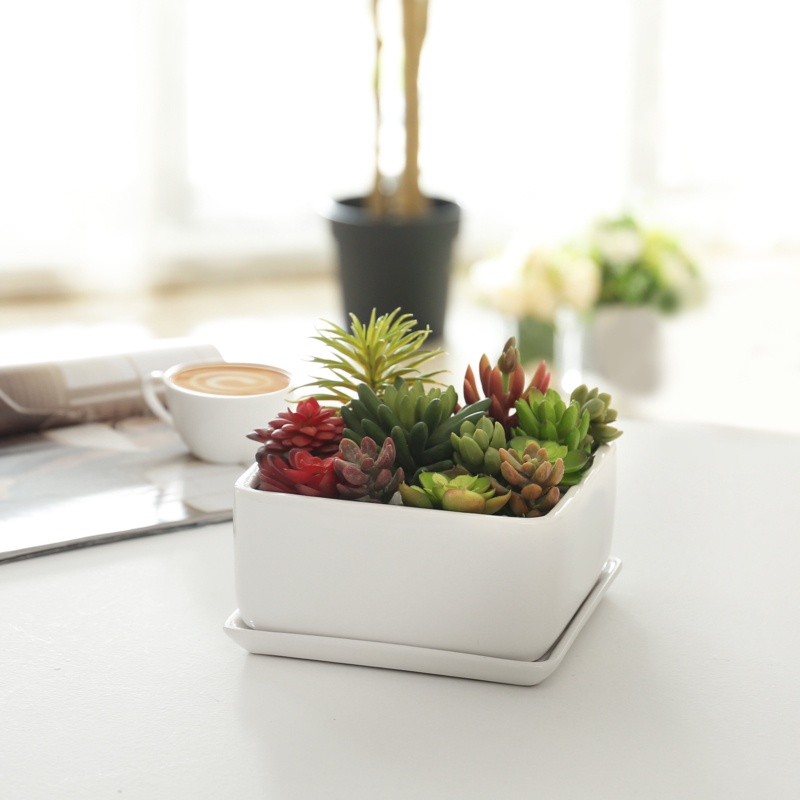Hens Indoor Square Ceramic Pot Planter