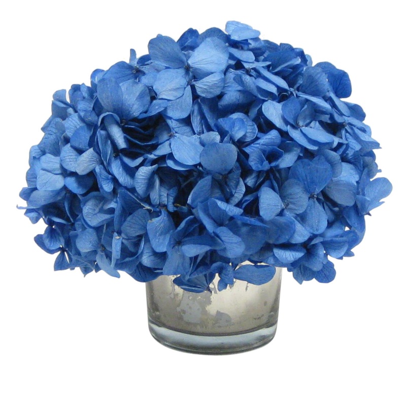 Hydrangea Arrangement in Vase