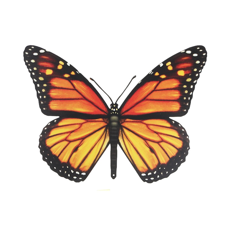 Ih Casadecor Tin Animals & Insects Wall Decor