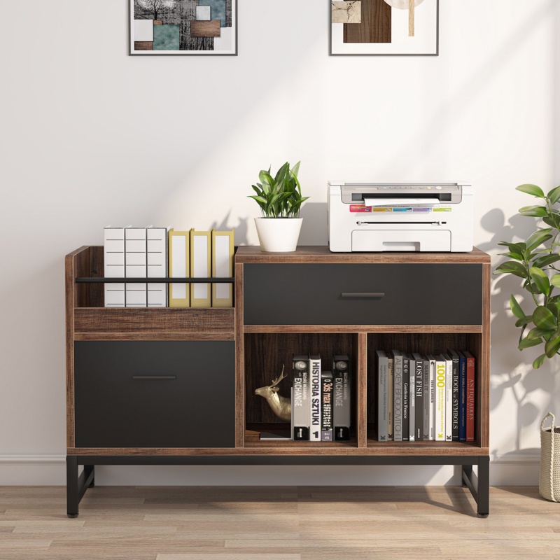 Kaljonka 39.37'' Wide 2 -Drawer File Cabinet