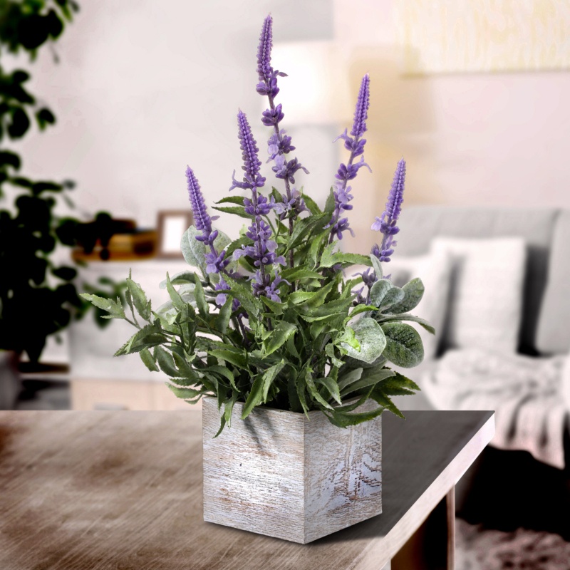 Lavender Arrangement in Pot
