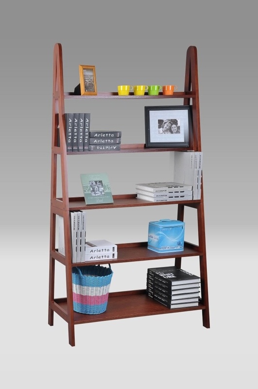 Lisa-Marie Ladder Bookcase