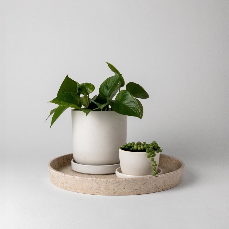 Lorien Tray