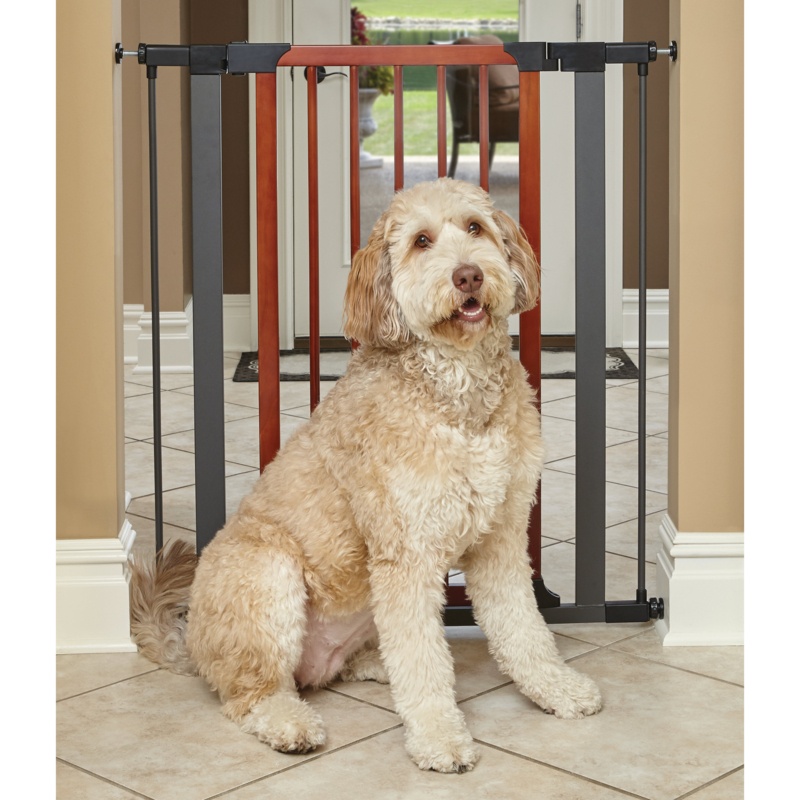 MidWest Homes for Pets Steel Pet Gate w/ Textured Graphite Frame & Decorative Wood Door