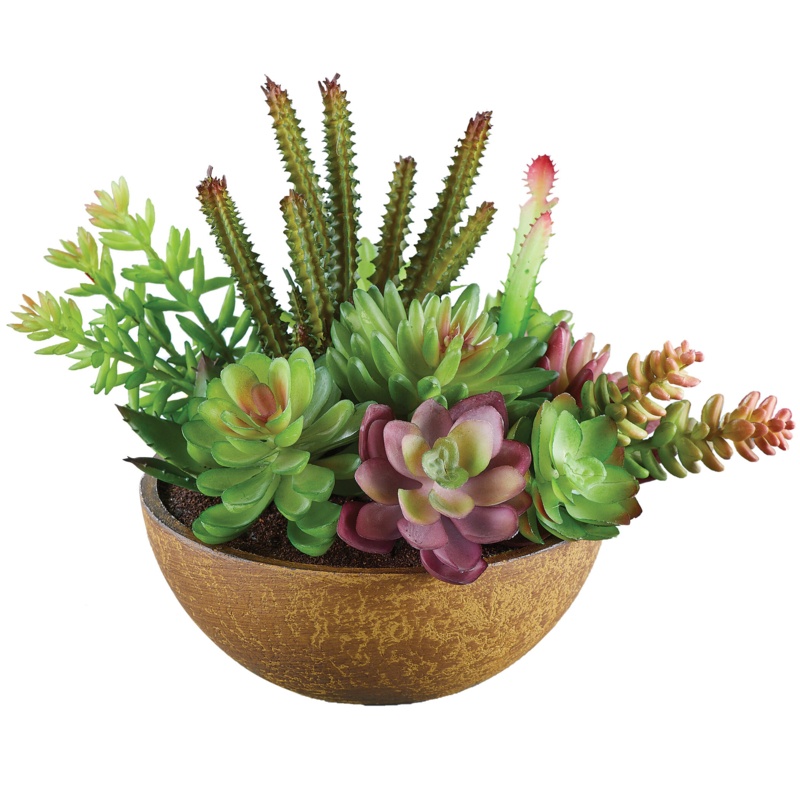 Mixed Arrangement in Pot