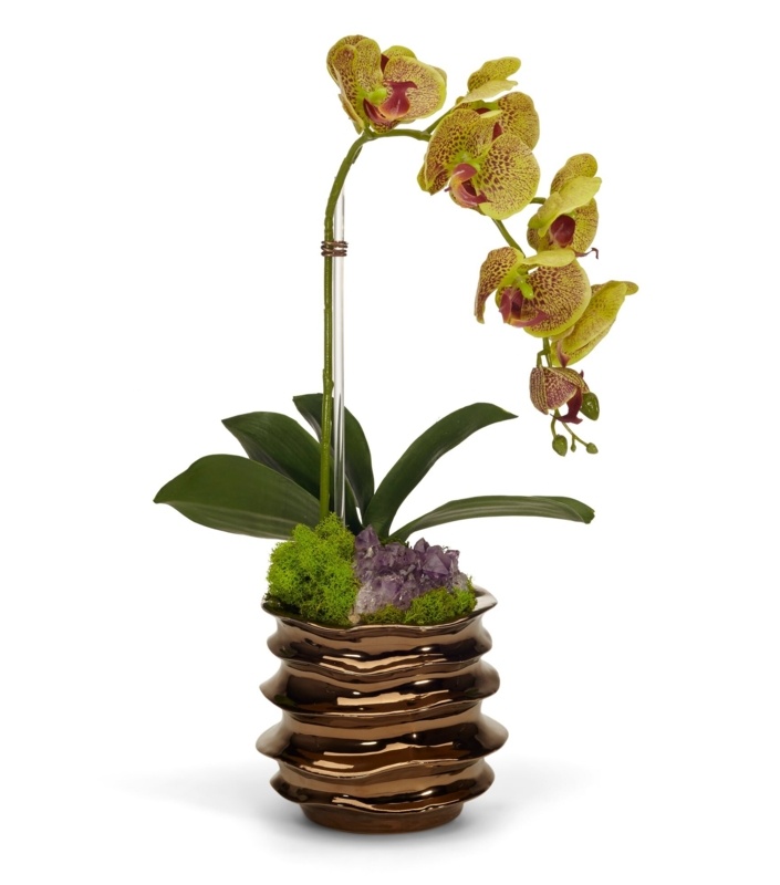 Orchid Arrangement in Pot