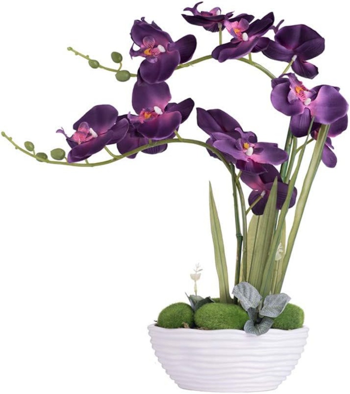 Orchid Arrangement in Vase