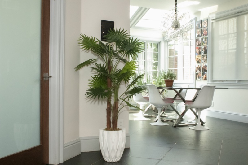 Panama 48'' Faux Fan Palm Tree