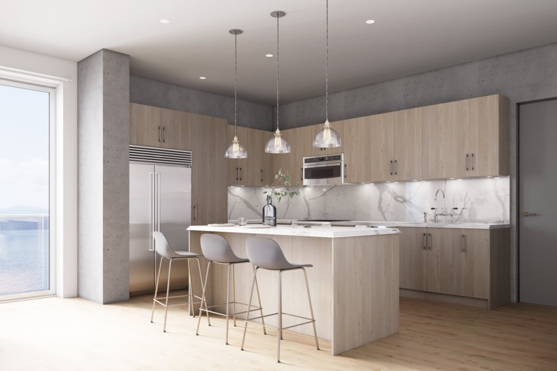 Quick Assemble Modern Style with Soft Close Base Kitchen Cabinet