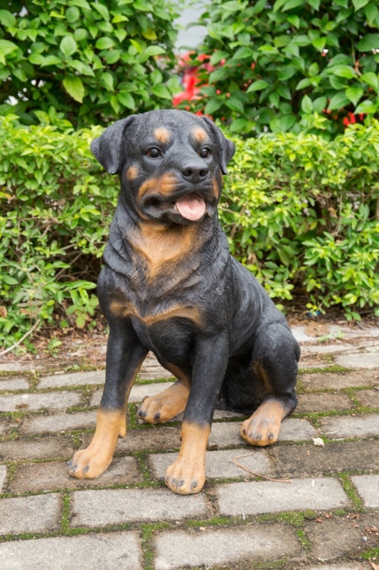 Rottweiler Sitting Statue