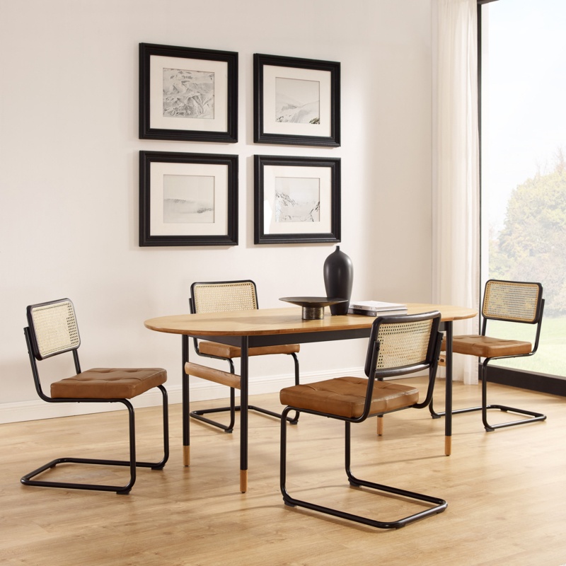 Saturnino Tufted Leather Upholstered Cane Back Dining Side Chair