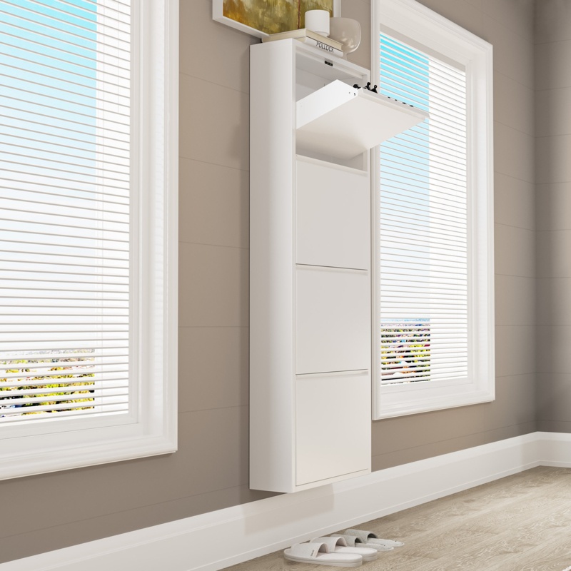 Shoe Storage Cabinet