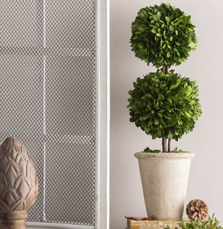 Swader 20'' Boxwood Topiary in Ceramic Pot