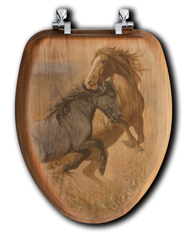 Toilet Seat and Lid
