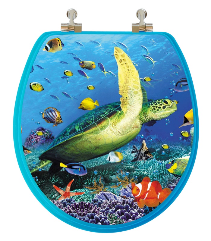 Toilet Seat