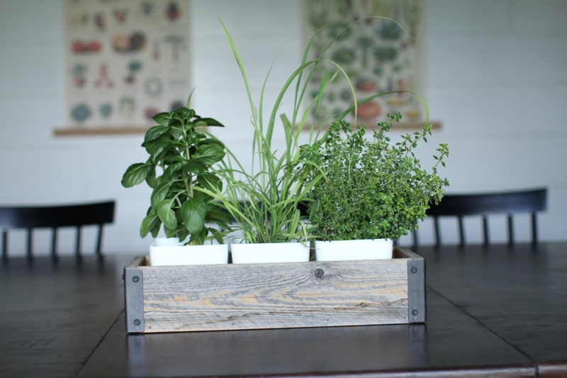 Wood Outdoor Planter Box