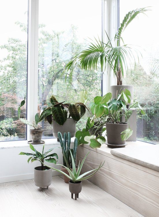 Blumentopf Bowl L von Kristina Dam Studio