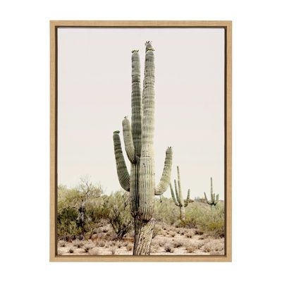 Foundry Select 'Sunrise Cactus' by Amy Peterson - Floater Frame Photograph Print on Canvas Canvas, Linen in Gray / Green | Wayfair | Home Decor