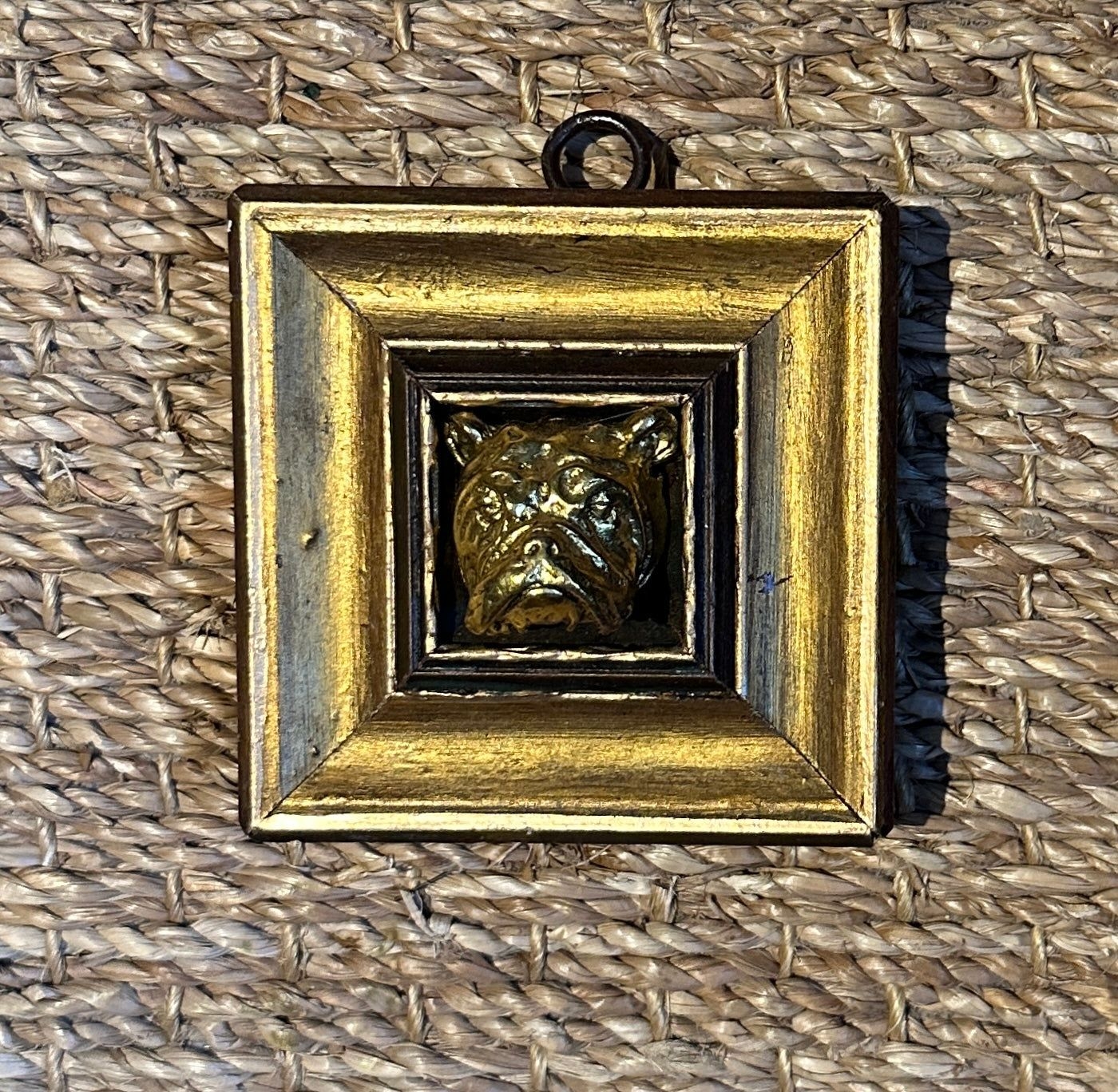 Museum Bee, Gilt Frame with Bulldog
