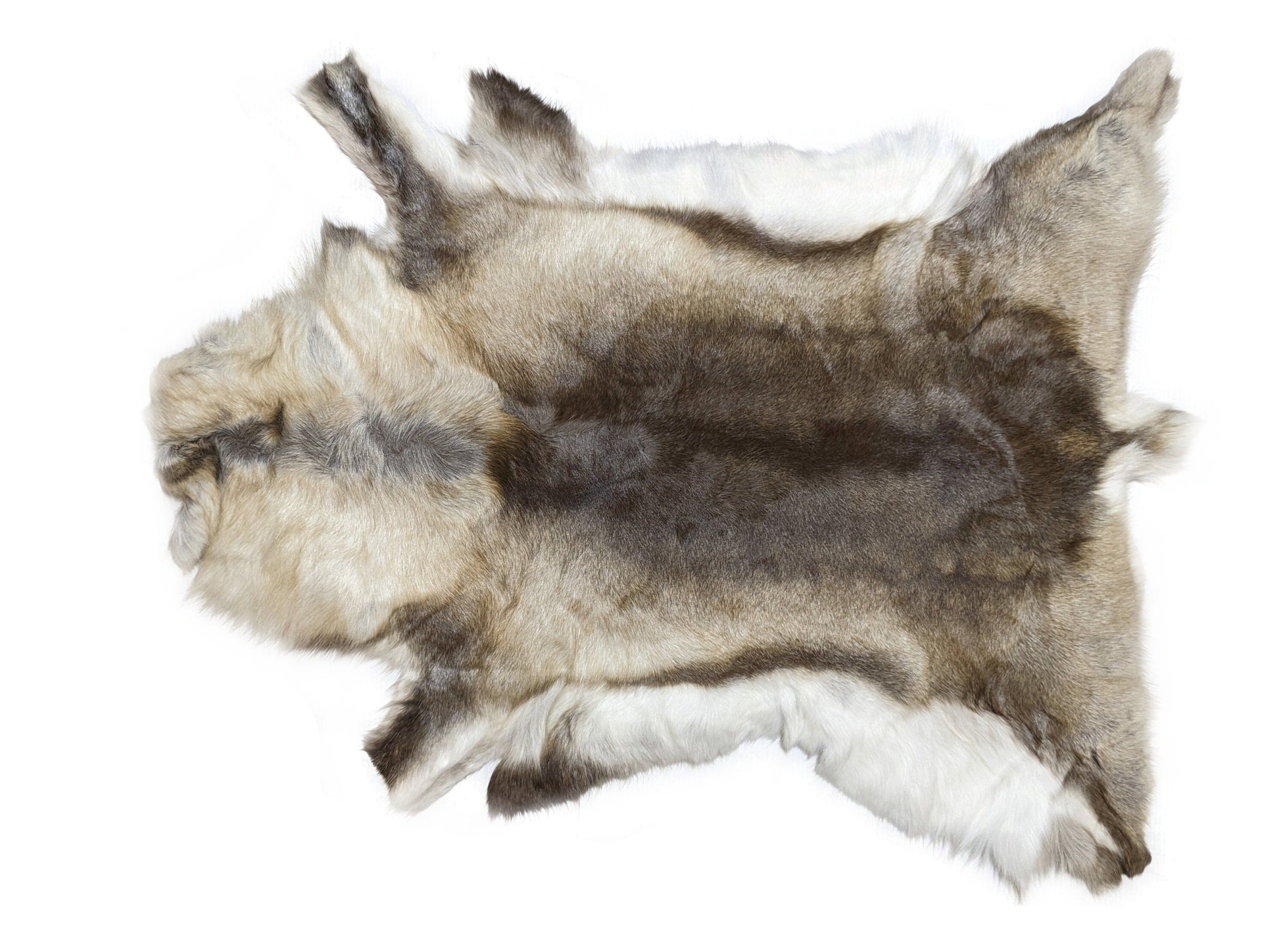 SAL1626 Scandinavian Reindeer Hide - Natural Color straight/short pile