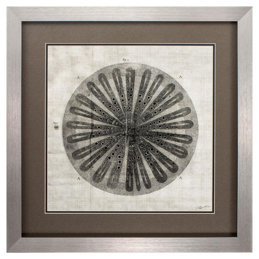 HomeRoots Victoria Silver Gallery Framed Wall Art 26 in. x 26 in.