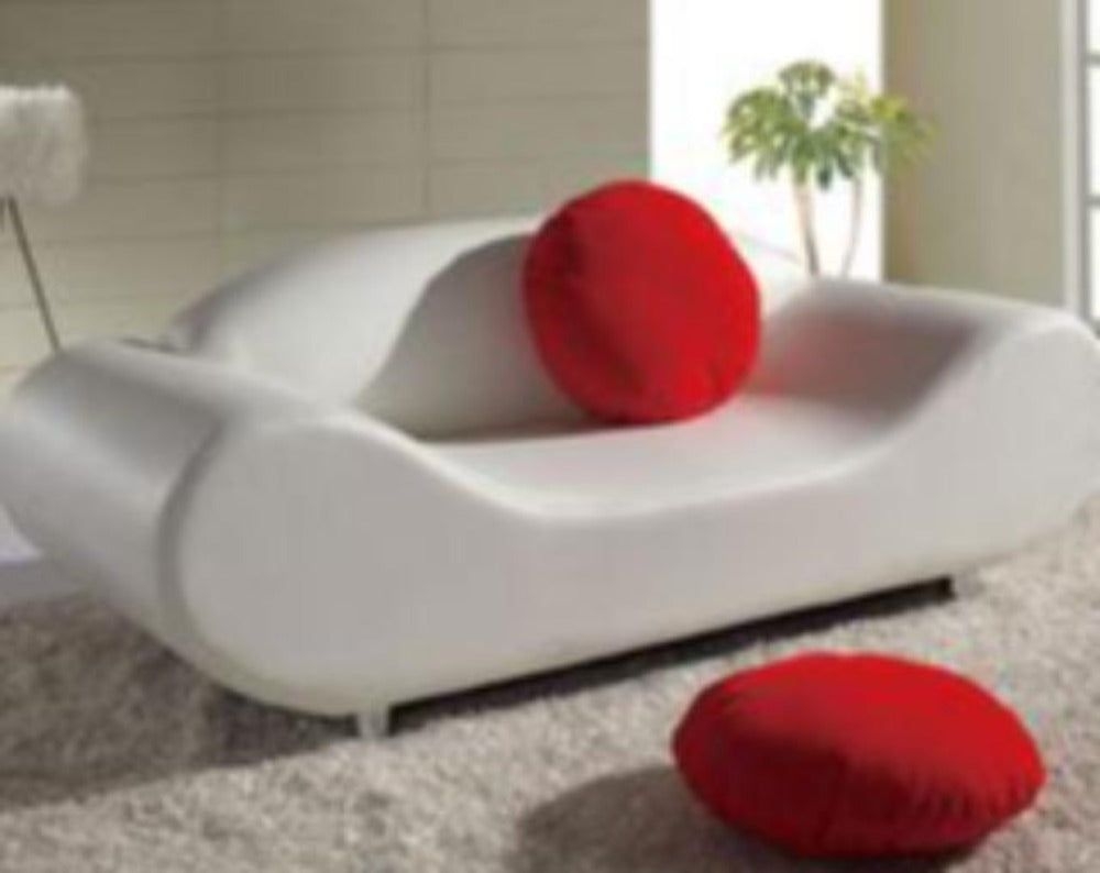 Modern Two Seated Designed Creative Leather Sofa