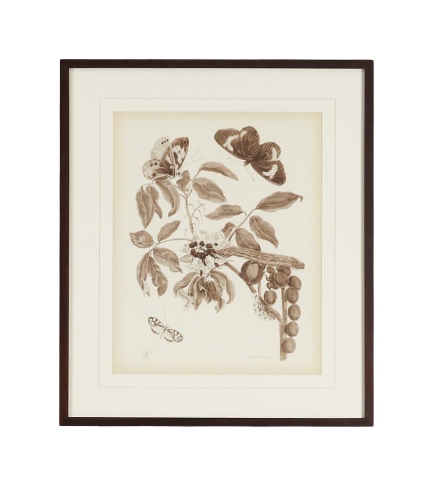 Nature Study In Sepia I - Finish: Bronze Frame with V-Groove Mat