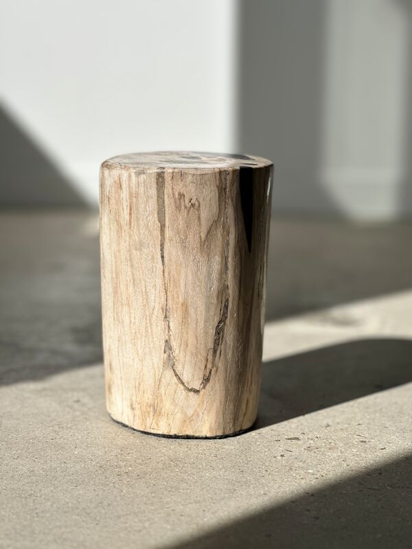 Table d'appoint en bois ptrifi blanc et taches noires H:27,5 D:18