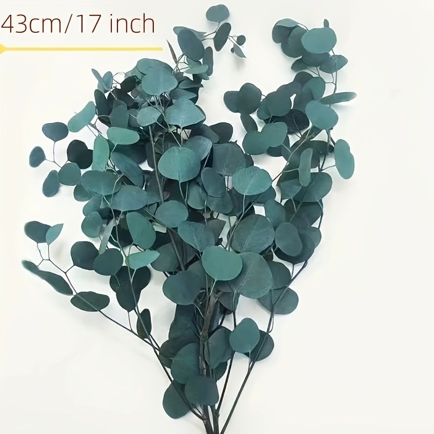 10pcs Natural Dried Eucalyptus Leaves, Diy Bouquet Materials For Wedding, Family, Party, Halloween, Thanksgiving, Christmas Decoration, Room Decoration, Home Decoration